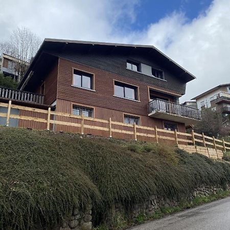 Vila Chalet Les Trois Vallees La Bresse Exteriér fotografie